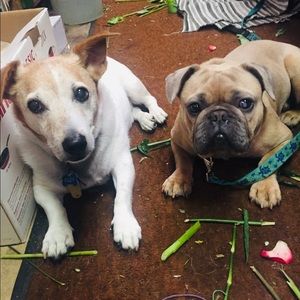 Meet your Posher, Leah